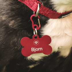 Pet Shop, Pet Supplies and Pet Accessories Online