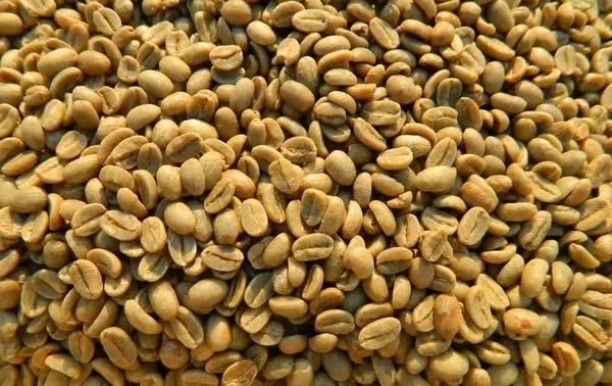 top-quality Ugandan robusta ,Arabica+27719755564